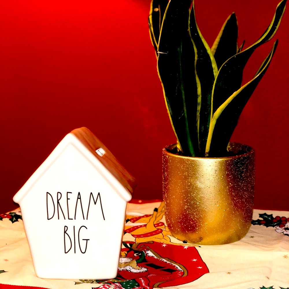 Dream big piggy bank